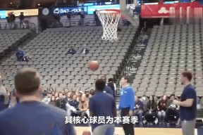 东契奇在德国队比赛中刷新纪录，持续失利引发热议！观众掌声雷动的简单介绍-爱游戏官网