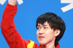乒乓球赛场再起风云：东海鲨队队爆冷嵩山独角兽队，新援首秀制胜禁区内连续解围的简单介绍-爱游戏官网